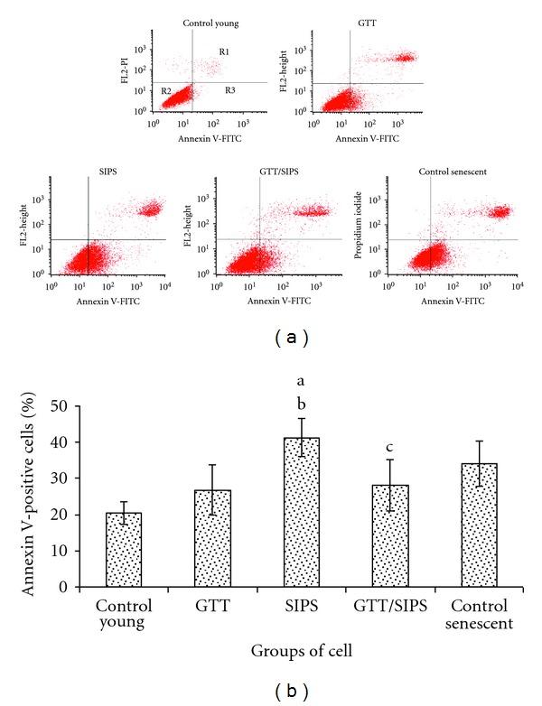 https://cdn.ncbi.nlm.nih.gov/pmc/blobs/63da/3418699/49d077b53a46/OXIMED2012-785743.005.jpg