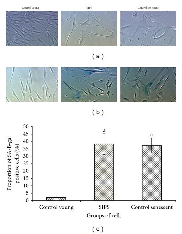 https://cdn.ncbi.nlm.nih.gov/pmc/blobs/63da/3418699/cf85dd1ba035/OXIMED2012-785743.001.jpg