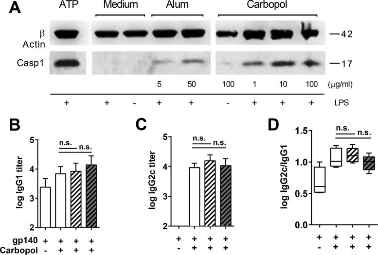 https://cdn.ncbi.nlm.nih.gov/pmc/blobs/63dc/4850248/d08e3206964c/gr4.jpg