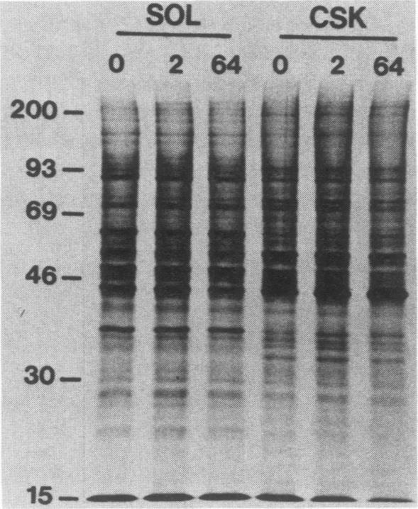 https://cdn.ncbi.nlm.nih.gov/pmc/blobs/63de/367692/ed5fa4722171/molcellb00089-0302-b.jpg
