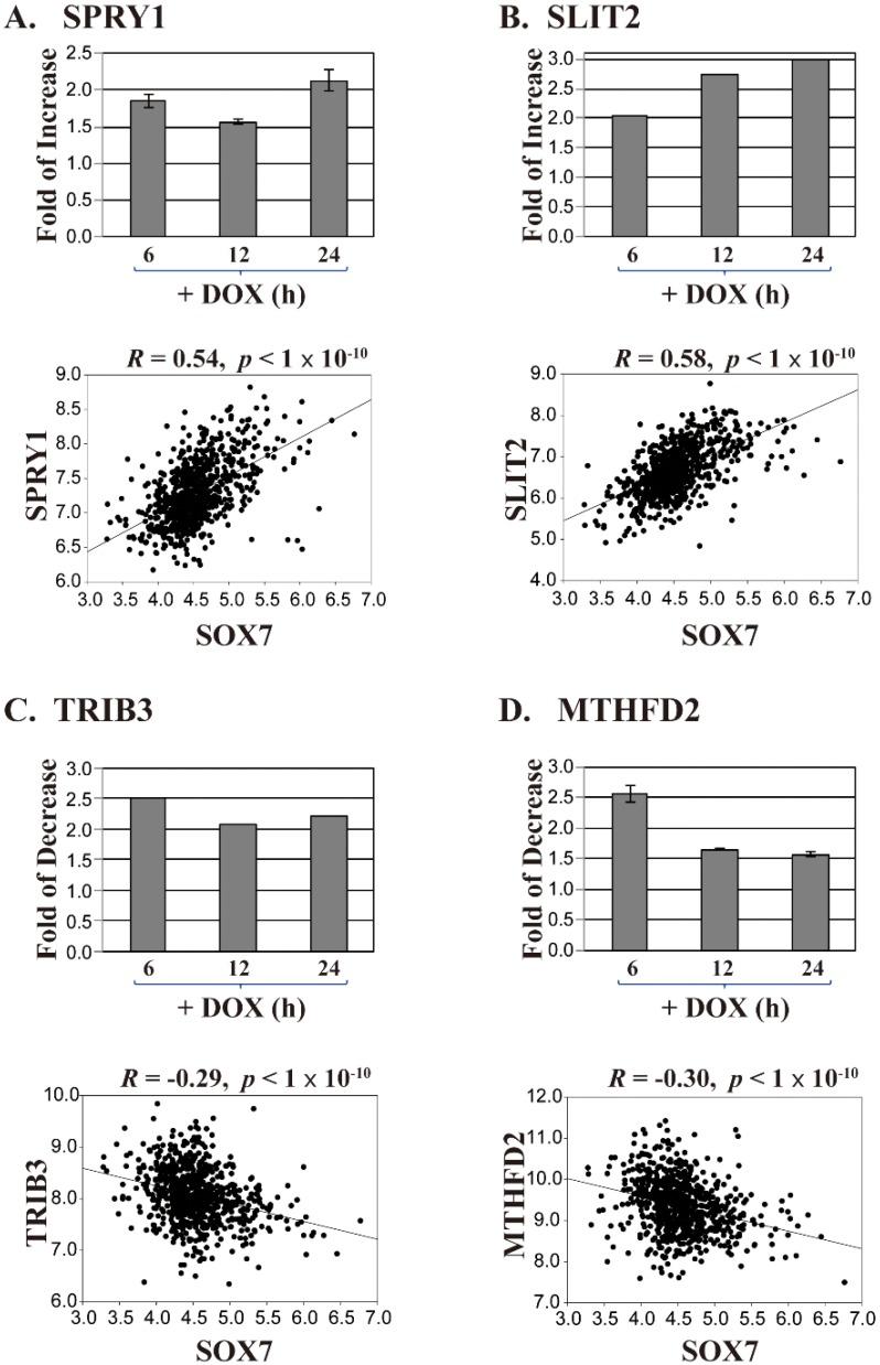 https://cdn.ncbi.nlm.nih.gov/pmc/blobs/63e0/5983648/c0c0e5256951/ijms-19-01451-g002.jpg