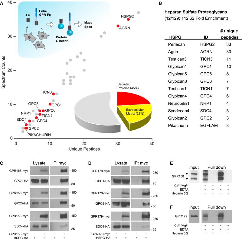 https://cdn.ncbi.nlm.nih.gov/pmc/blobs/63e0/6203450/e260a936e813/nihms-1509373-f0002.jpg