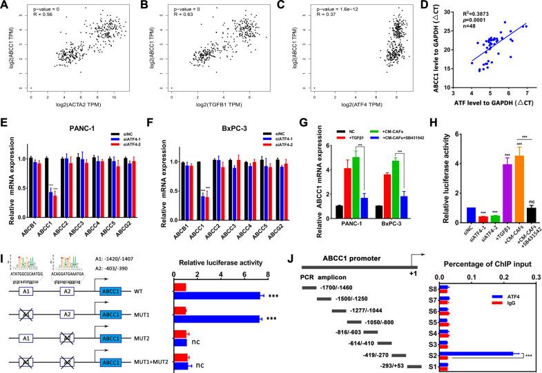 https://cdn.ncbi.nlm.nih.gov/pmc/blobs/63e1/8007632/91c8b7683130/41419_2021_3574_Fig6_HTML.jpg