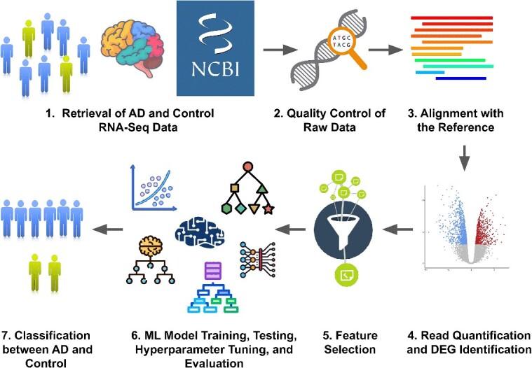 https://cdn.ncbi.nlm.nih.gov/pmc/blobs/63e5/11179120/8fe59606117b/bbae291f1.jpg