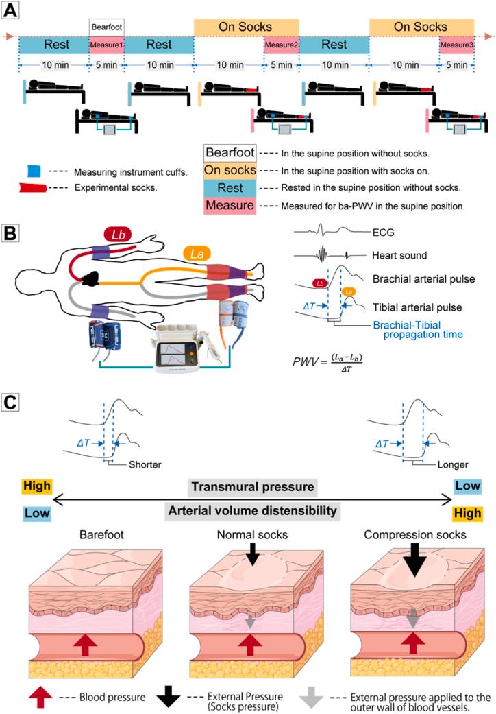 https://cdn.ncbi.nlm.nih.gov/pmc/blobs/63e9/11786638/75f5d9ea3261/gr1.jpg