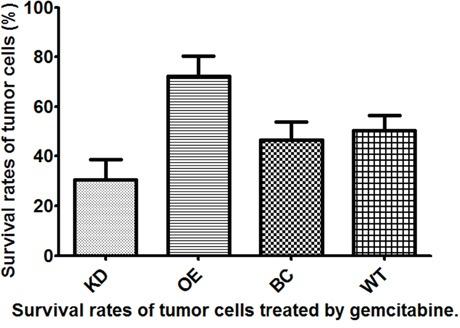 https://cdn.ncbi.nlm.nih.gov/pmc/blobs/63ea/5609918/5da99f343ca4/oncotarget-08-63258-g002.jpg