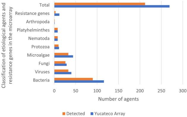 https://cdn.ncbi.nlm.nih.gov/pmc/blobs/63f3/10165067/5a0a58fc3955/fbioe-11-1085976-g003.jpg