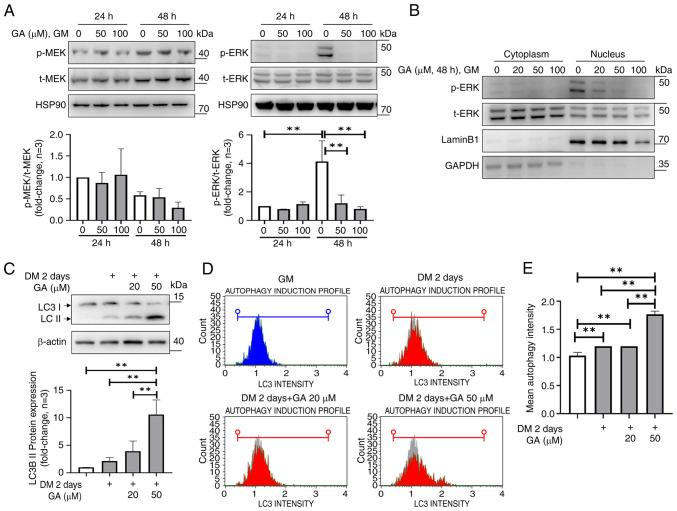 https://cdn.ncbi.nlm.nih.gov/pmc/blobs/63f3/11413845/57e41ce02a22/mmr-30-05-13328-g04.jpg