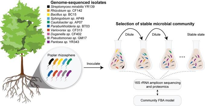 https://cdn.ncbi.nlm.nih.gov/pmc/blobs/63f3/8079826/6310c69bc9d7/gr1.jpg