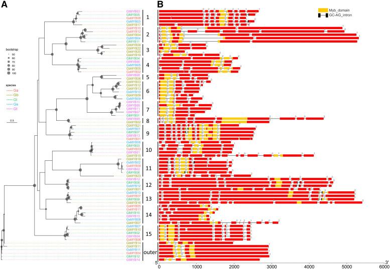 https://cdn.ncbi.nlm.nih.gov/pmc/blobs/63f4/7407476/273cfc1b35e3/2653f2.jpg