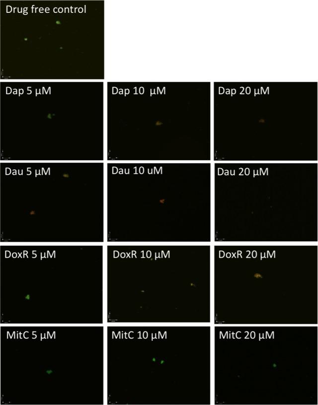 https://cdn.ncbi.nlm.nih.gov/pmc/blobs/63f7/4748043/81dd263da03b/fmicb-07-00062-g001.jpg
