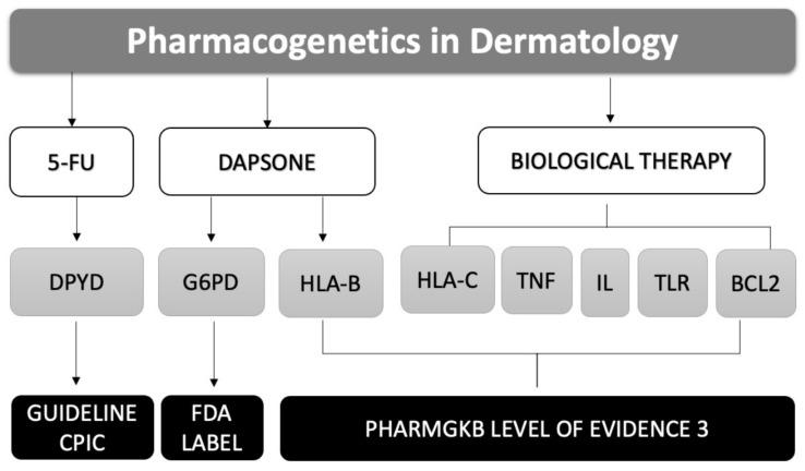 https://cdn.ncbi.nlm.nih.gov/pmc/blobs/63f9/8471650/280b2b3625ec/pharmaceuticals-14-00905-g001.jpg