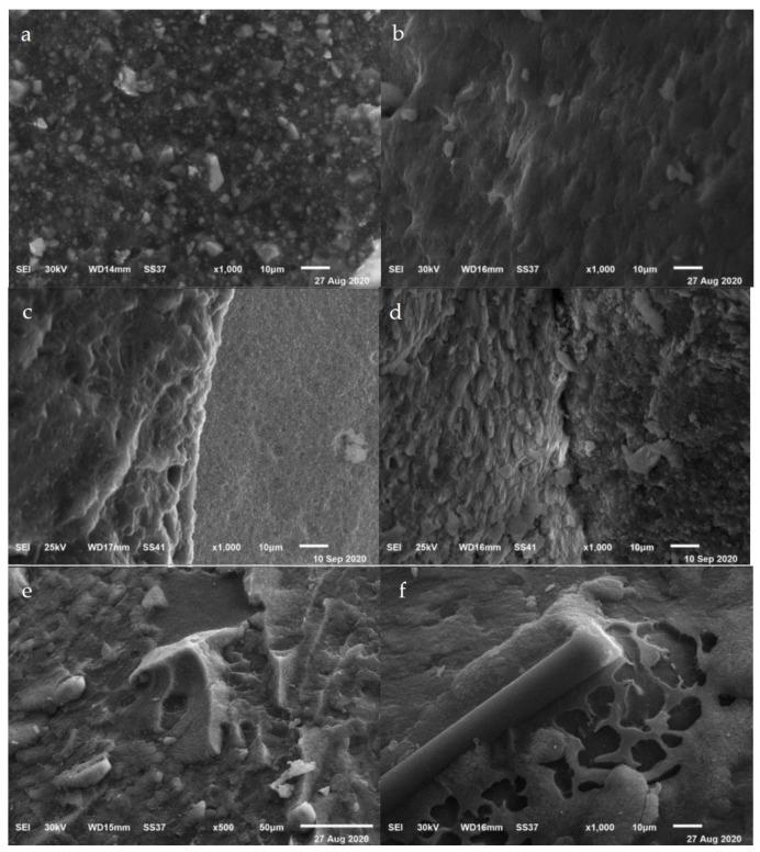 https://cdn.ncbi.nlm.nih.gov/pmc/blobs/63fb/7923146/9bd81068d267/materials-14-00960-g003.jpg
