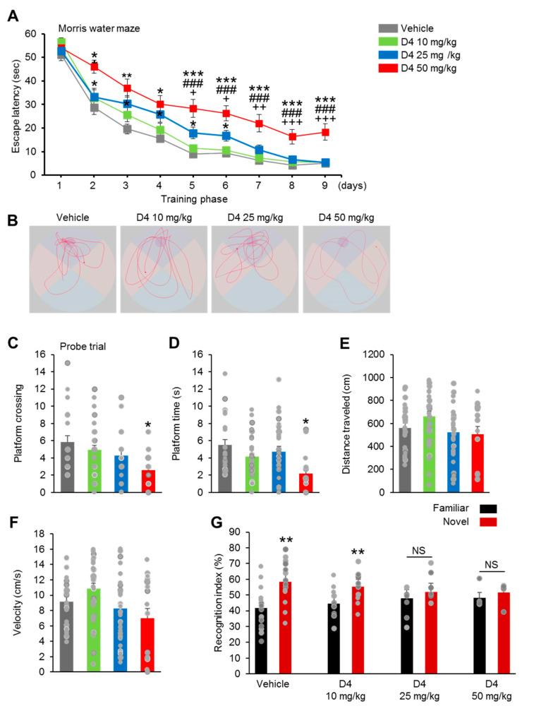 https://cdn.ncbi.nlm.nih.gov/pmc/blobs/63fb/8657511/13ea0edade55/ijms-22-12949-g003a.jpg