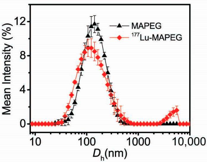 https://cdn.ncbi.nlm.nih.gov/pmc/blobs/63fd/9321329/24c1c53342d3/nanomaterials-12-02490-g006.jpg