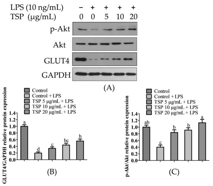 https://cdn.ncbi.nlm.nih.gov/pmc/blobs/63fe/10096037/57086517ea8b/molecules-28-03001-g003.jpg