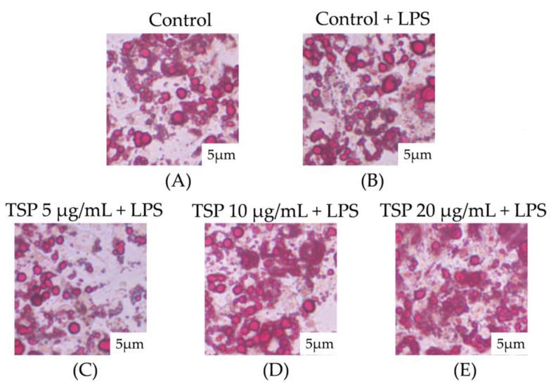 https://cdn.ncbi.nlm.nih.gov/pmc/blobs/63fe/10096037/9c845a734c9e/molecules-28-03001-g002.jpg