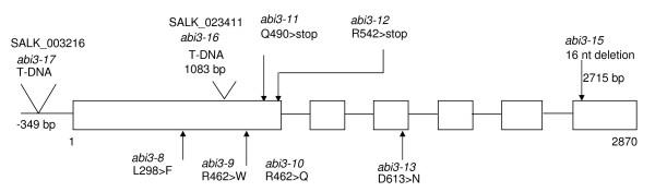 https://cdn.ncbi.nlm.nih.gov/pmc/blobs/63fe/2579432/593d9c71833f/1471-2229-8-104-10.jpg