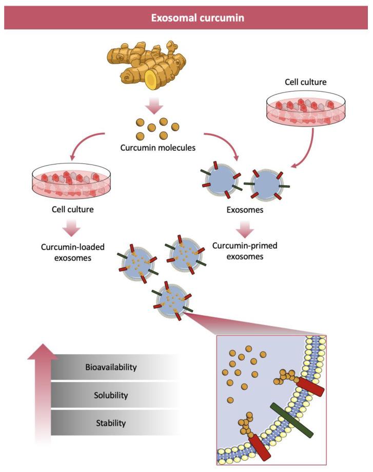 https://cdn.ncbi.nlm.nih.gov/pmc/blobs/63ff/7822042/0ad22748a6f7/nanomaterials-11-00002-g003.jpg