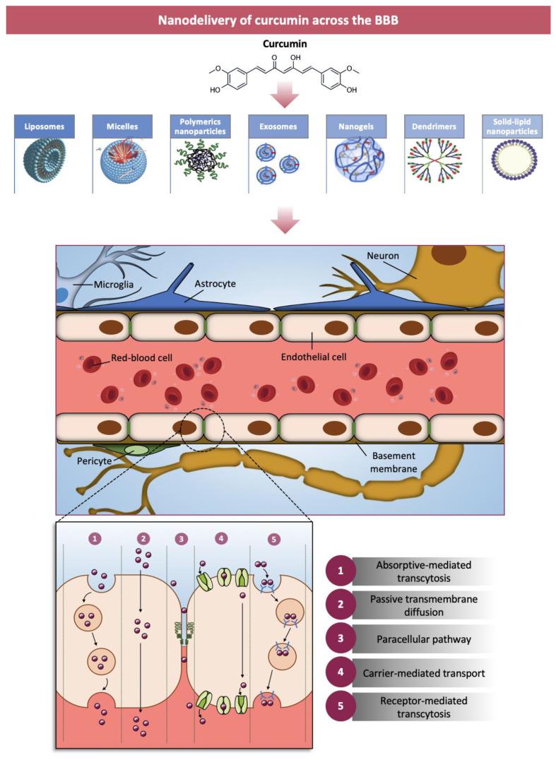 https://cdn.ncbi.nlm.nih.gov/pmc/blobs/63ff/7822042/cb54b11d2873/nanomaterials-11-00002-g002.jpg