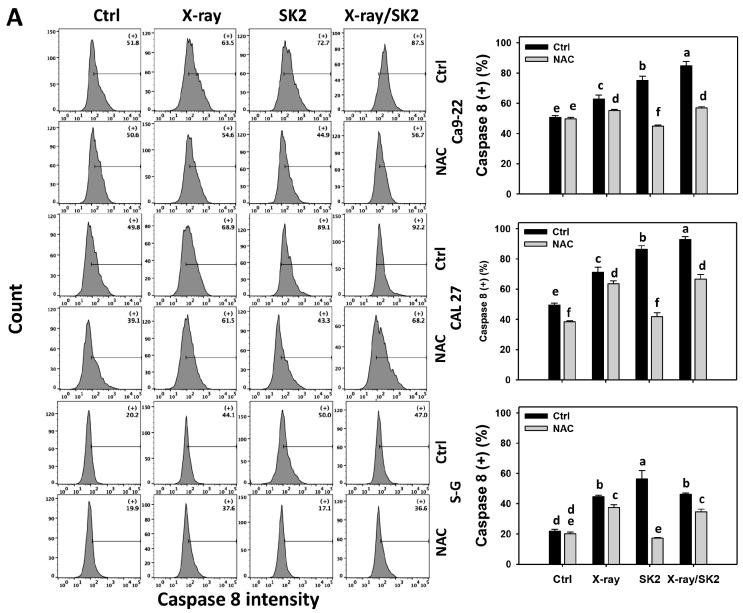 https://cdn.ncbi.nlm.nih.gov/pmc/blobs/6400/10887088/57be83a483e5/biomedicines-12-00458-g004a.jpg