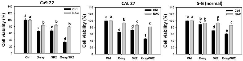 https://cdn.ncbi.nlm.nih.gov/pmc/blobs/6400/10887088/828f0bb702d4/biomedicines-12-00458-g001.jpg