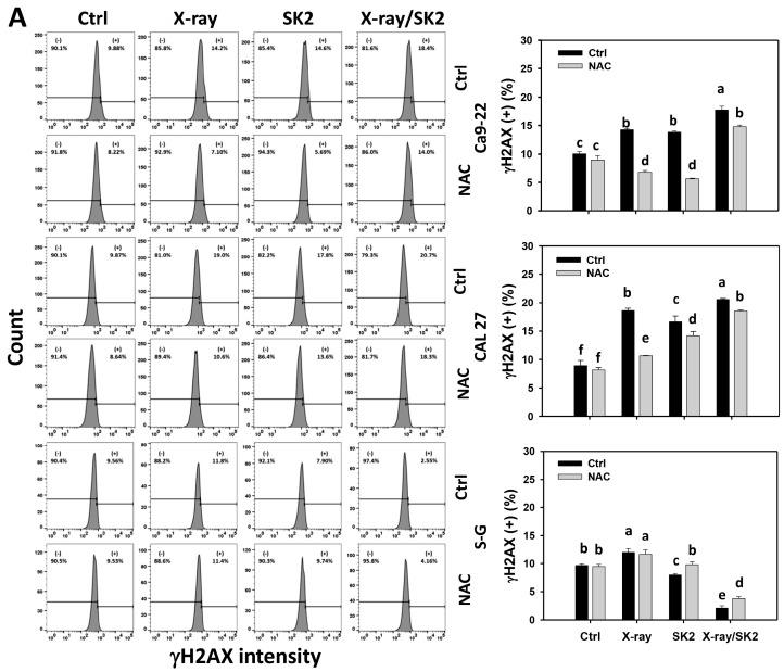 https://cdn.ncbi.nlm.nih.gov/pmc/blobs/6400/10887088/d73806fdc9d3/biomedicines-12-00458-g007a.jpg