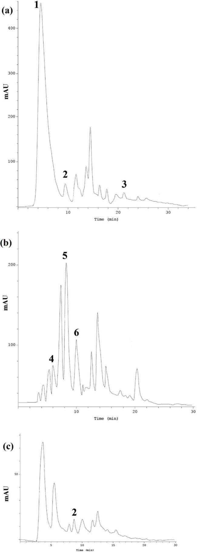 https://cdn.ncbi.nlm.nih.gov/pmc/blobs/6401/5603879/380d5ea1781a/ijpr-16-694-g001.jpg