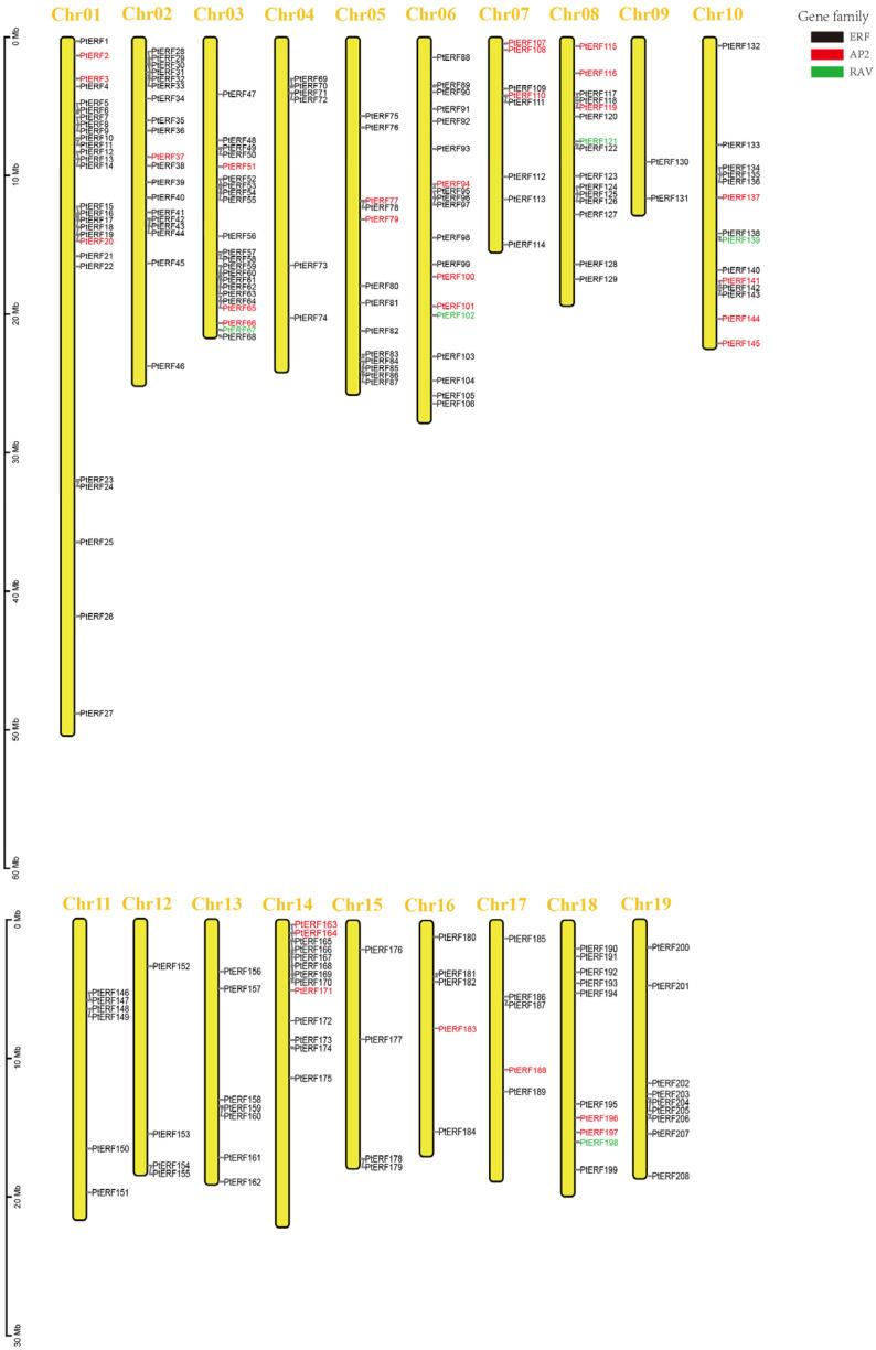 https://cdn.ncbi.nlm.nih.gov/pmc/blobs/6402/12029025/79bf74c15901/life-15-00550-g001.jpg