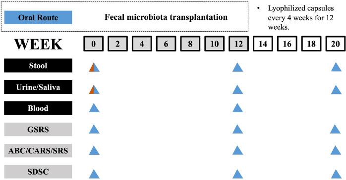 https://cdn.ncbi.nlm.nih.gov/pmc/blobs/6407/11112010/f2a6e157c340/fped-12-1369823-g001.jpg