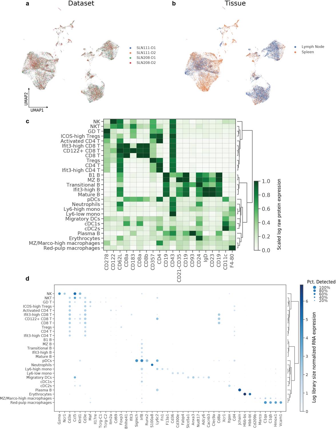 https://cdn.ncbi.nlm.nih.gov/pmc/blobs/6409/7954949/a6952c923575/nihms-1656427-f0011.jpg