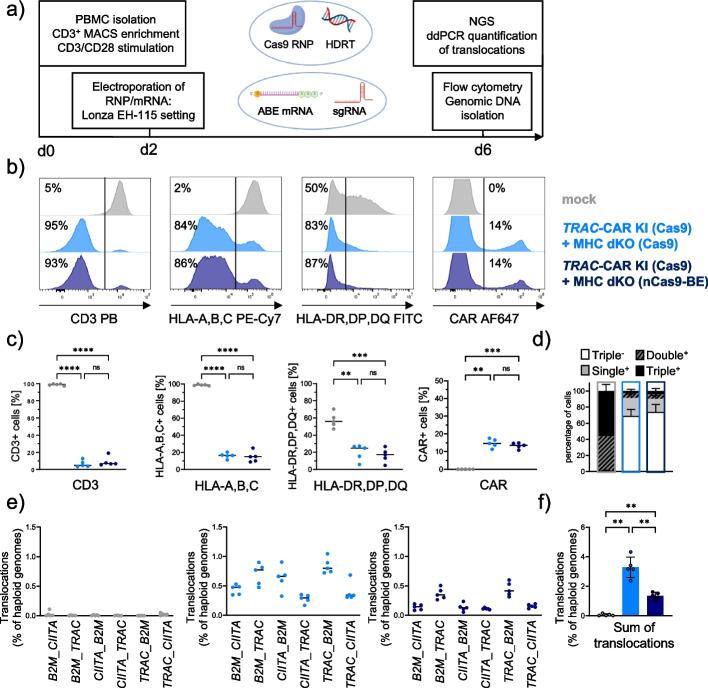 https://cdn.ncbi.nlm.nih.gov/pmc/blobs/640a/10123993/b0c9d753c281/13059_2023_2928_Fig2_HTML.jpg