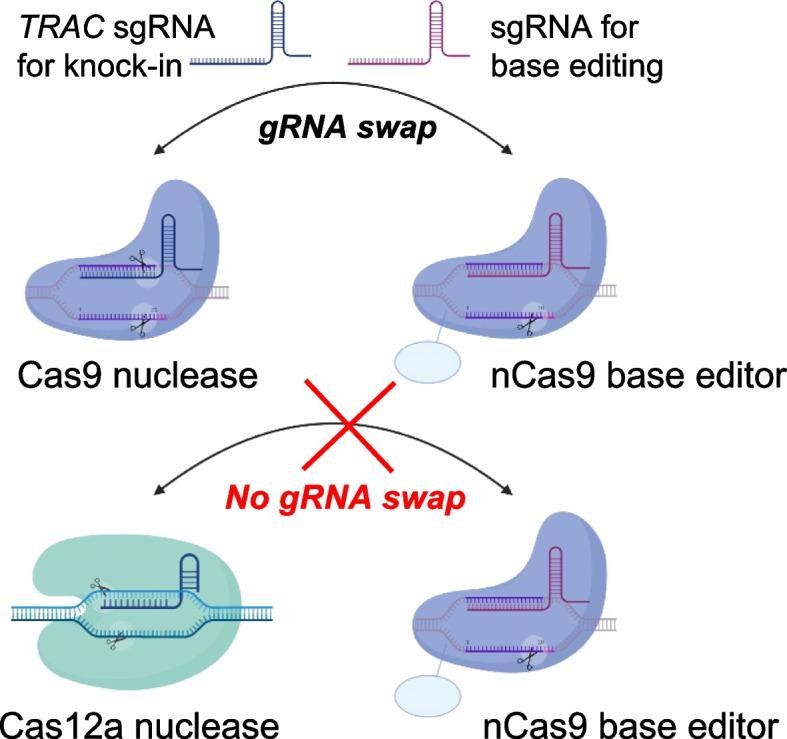 https://cdn.ncbi.nlm.nih.gov/pmc/blobs/640a/10123993/d9150b895f9e/13059_2023_2928_Fig3_HTML.jpg