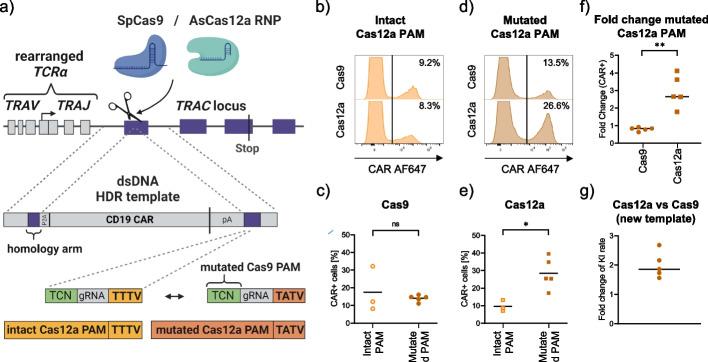 https://cdn.ncbi.nlm.nih.gov/pmc/blobs/640a/10123993/f2031bcb7862/13059_2023_2928_Fig4_HTML.jpg