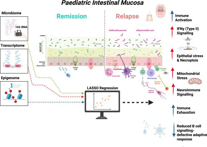 https://cdn.ncbi.nlm.nih.gov/pmc/blobs/640a/12322004/2248a7ce8cc7/41467_2025_62533_Fig5_HTML.jpg