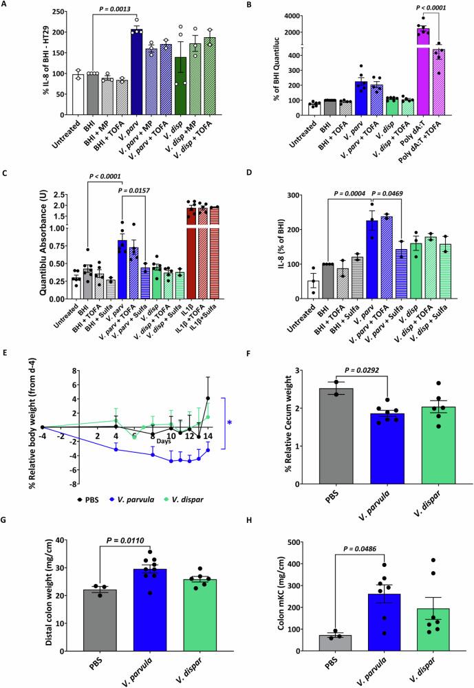 https://cdn.ncbi.nlm.nih.gov/pmc/blobs/640a/12322004/47bc8c301506/41467_2025_62533_Fig3_HTML.jpg