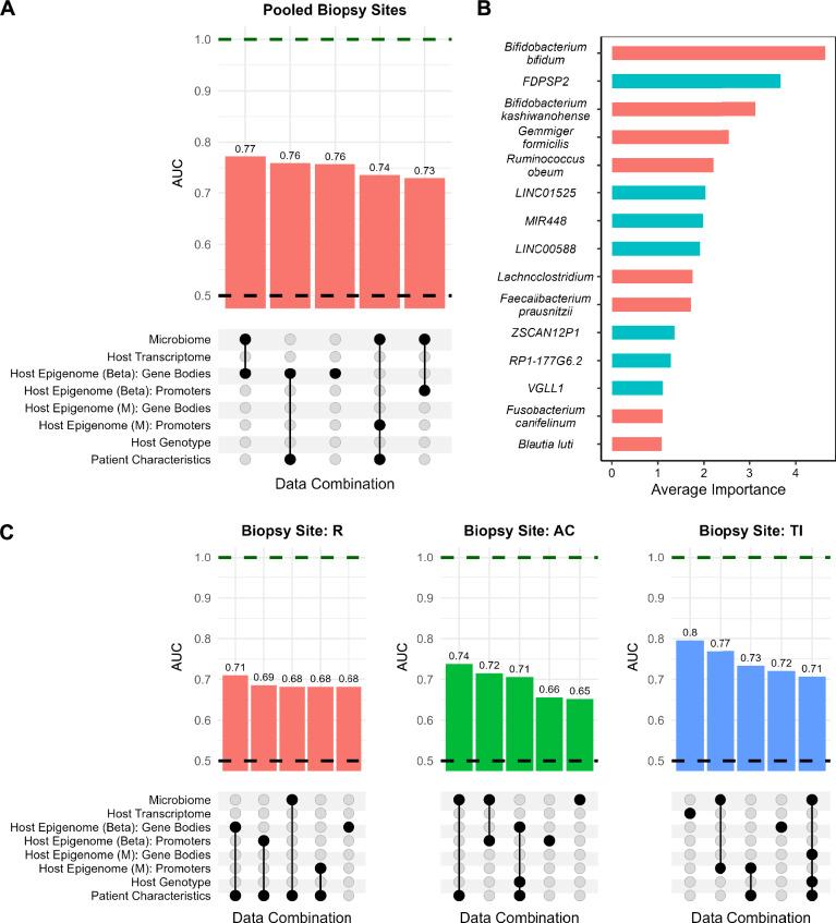 https://cdn.ncbi.nlm.nih.gov/pmc/blobs/640a/12322004/b0aeb51fde1c/41467_2025_62533_Fig6_HTML.jpg