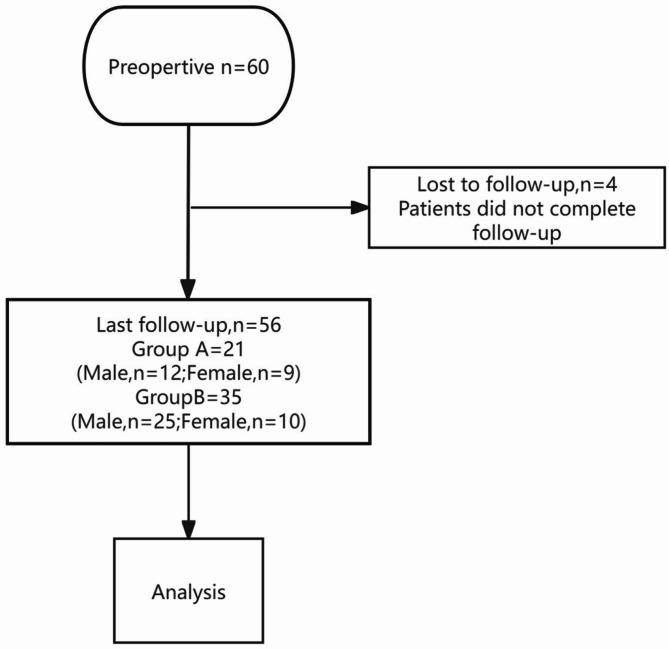 https://cdn.ncbi.nlm.nih.gov/pmc/blobs/640c/12183911/3e768b58c633/13018_2025_6039_Fig1_HTML.jpg