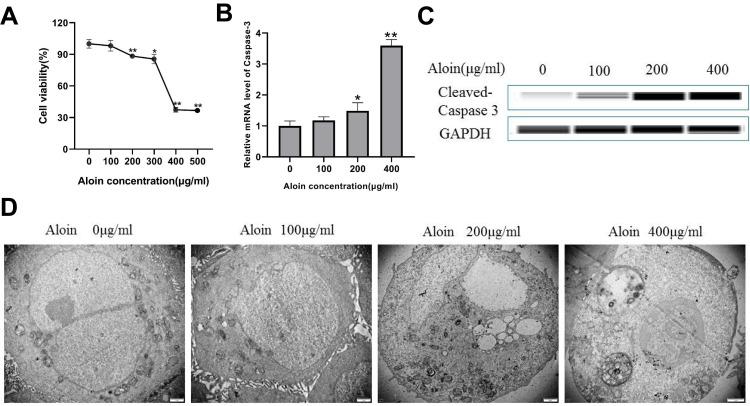 https://cdn.ncbi.nlm.nih.gov/pmc/blobs/640c/9232097/c996c89259c4/DDDT-16-1947-g0011.jpg