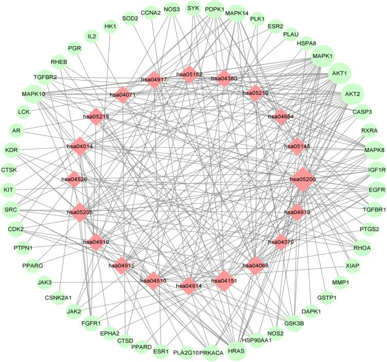 https://cdn.ncbi.nlm.nih.gov/pmc/blobs/640c/9232097/e5dbd996ef05/DDDT-16-1947-g0007.jpg