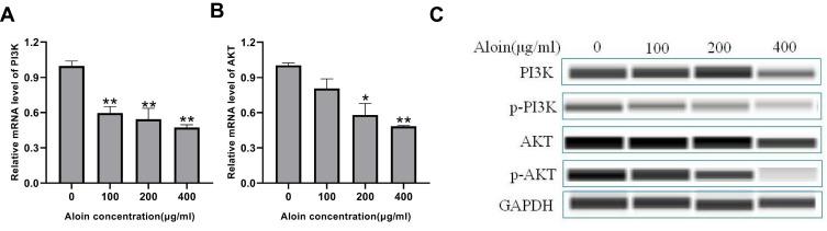 https://cdn.ncbi.nlm.nih.gov/pmc/blobs/640c/9232097/f34ce97dfdd5/DDDT-16-1947-g0012.jpg