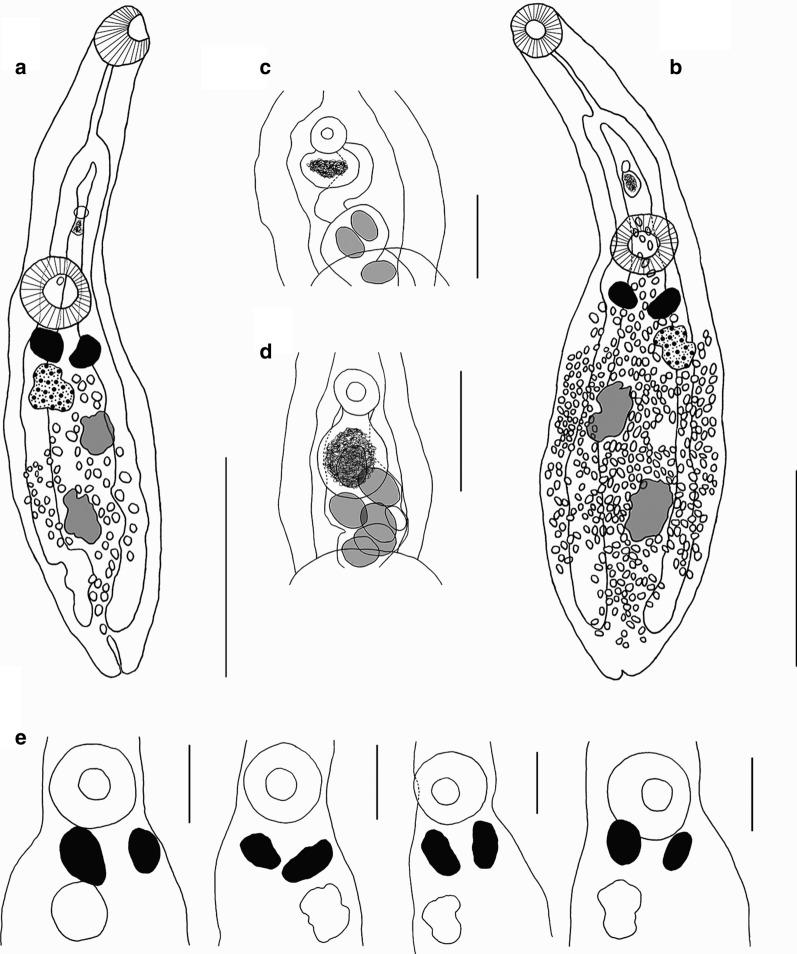 https://cdn.ncbi.nlm.nih.gov/pmc/blobs/640f/7654068/414dab1723c3/13071_2020_4434_Fig4_HTML.jpg