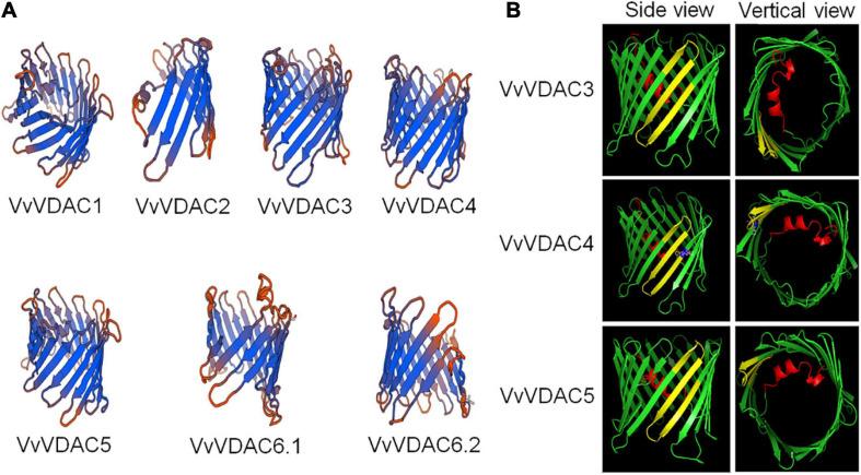 https://cdn.ncbi.nlm.nih.gov/pmc/blobs/640f/8242593/26a9b329ed78/fpls-12-670505-g001.jpg