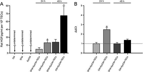 https://cdn.ncbi.nlm.nih.gov/pmc/blobs/6410/3706832/1620a48fb494/scrt215-9.jpg