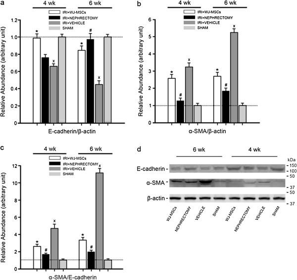 https://cdn.ncbi.nlm.nih.gov/pmc/blobs/6410/3706832/aecf419bebf7/scrt215-3.jpg