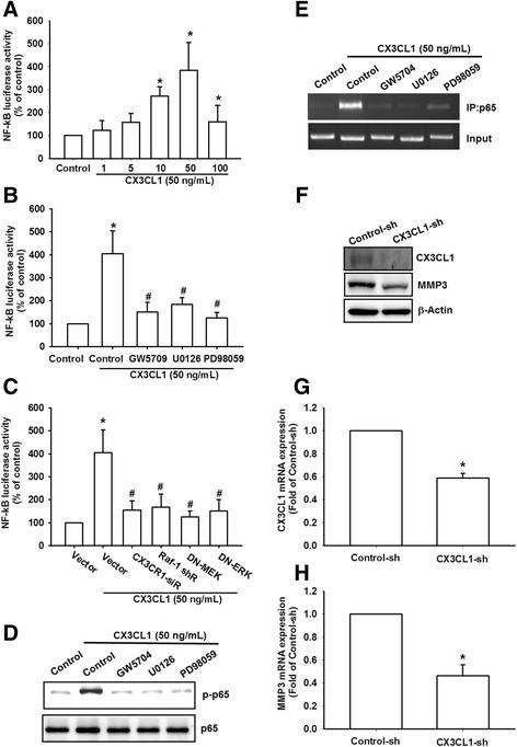 https://cdn.ncbi.nlm.nih.gov/pmc/blobs/6413/5740560/142230d46565/13075_2017_1487_Fig6_HTML.jpg