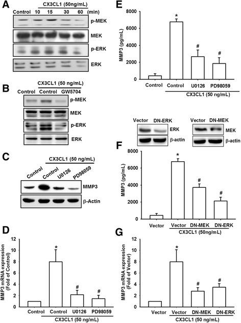 https://cdn.ncbi.nlm.nih.gov/pmc/blobs/6413/5740560/edf0503f1afe/13075_2017_1487_Fig4_HTML.jpg