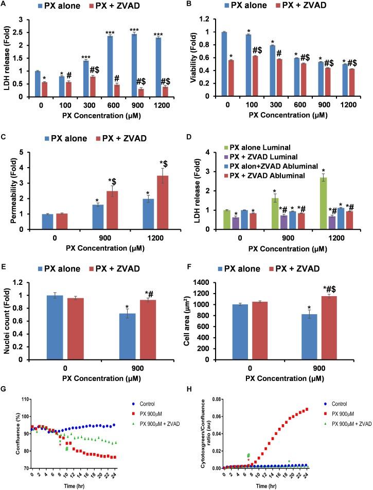 https://cdn.ncbi.nlm.nih.gov/pmc/blobs/6415/6232705/cc51fb4f115d/fncel-12-00359-g005.jpg