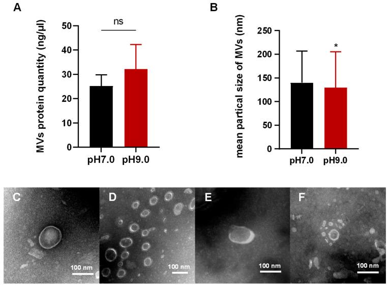 https://cdn.ncbi.nlm.nih.gov/pmc/blobs/6417/12195402/d73b6342809a/microorganisms-13-01344-g001.jpg