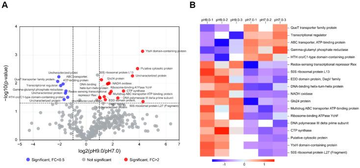 https://cdn.ncbi.nlm.nih.gov/pmc/blobs/6417/12195402/e70114886ae6/microorganisms-13-01344-g003.jpg